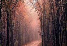 -T1翻盘BRO，Zeus完成史诗逆转入围赛3:2